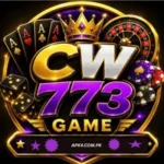 CW773 Game