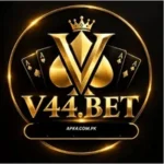 V44 Game