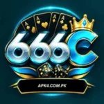 666C Game